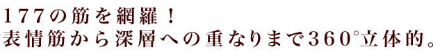 117の筋を網羅！表情筋から深層への重なりまで360°立体的。