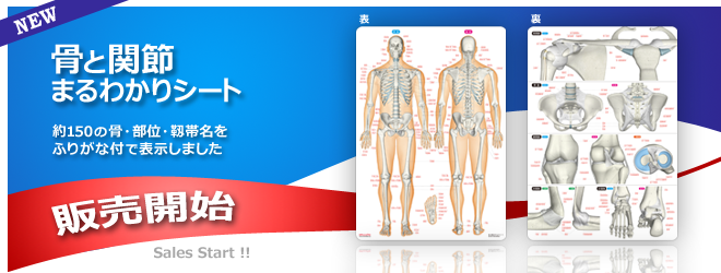 骨と関節まるわかりシート